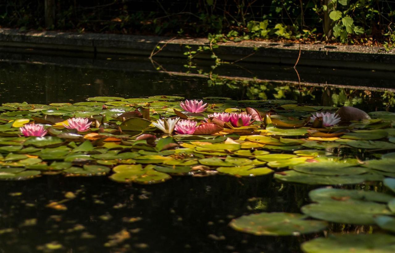 Les Jardins De Josephine - Le Manoir Hotel Évreux Buitenkant foto